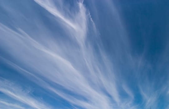 Cirrus Clouds