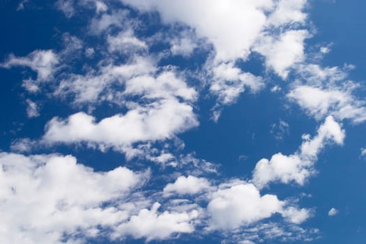 Cumulus clouds