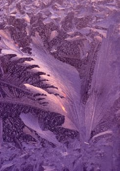 Frosty Window.