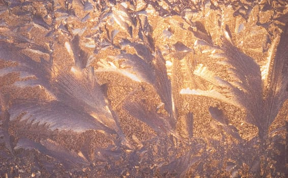 Frost on the window.