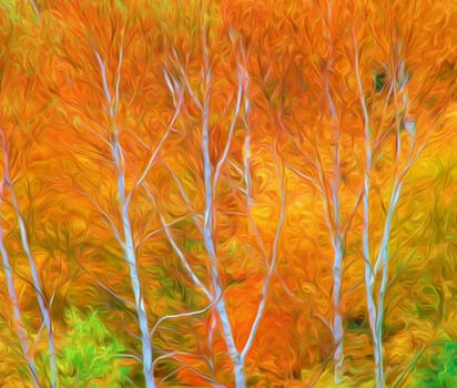 Autumn foliage in Vermont.