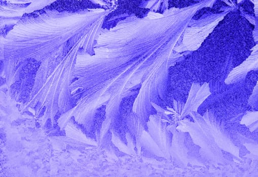 Frost on the window