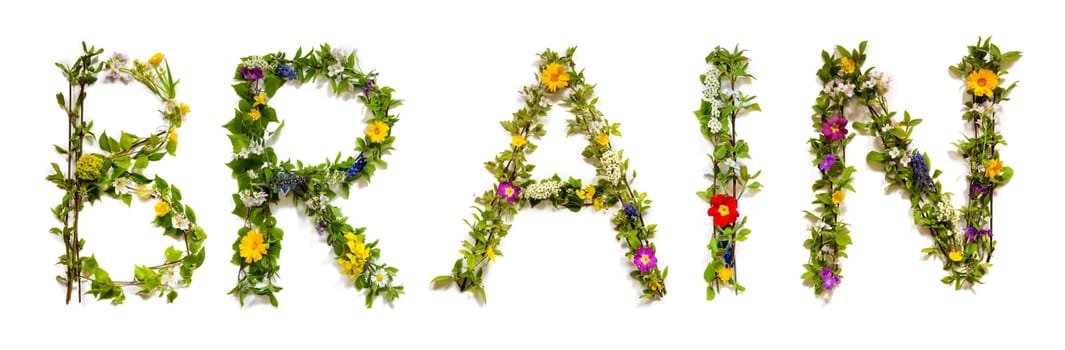 Blooming Flower Letters Building English Word Brain. Colorful Spring and Summer Blossoms. White Isolated Background.