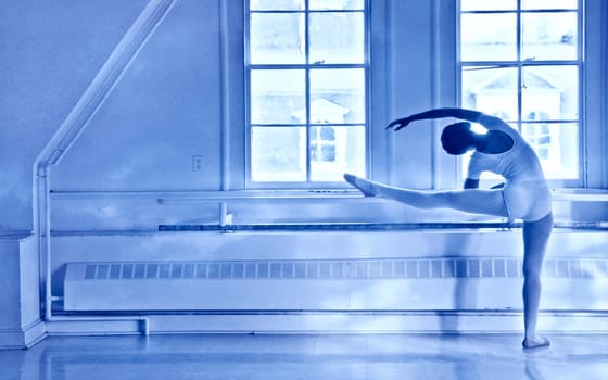 Ballet student at Cornell University.
