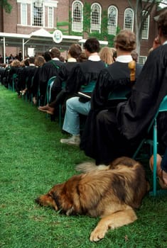 Graduation at Dartmoutn College. Hanover NH.