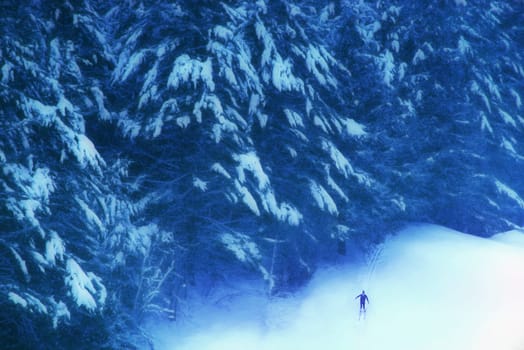 Cross Country skier at Dartmouth College.  Hanover NH.
