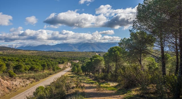 Local Road CC-168 at Granadilla outskirts, Spain. High scenic value road