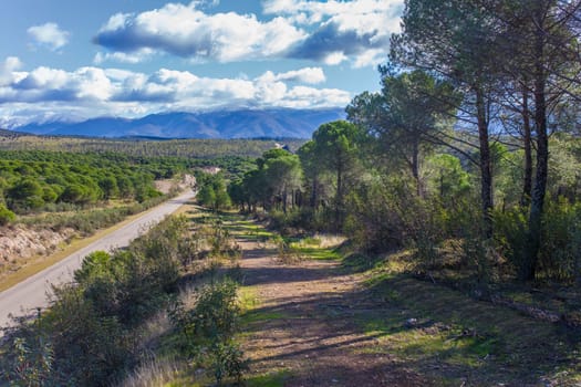 Local Road CC-168 at Granadilla outskirts, Spain. High scenic value road