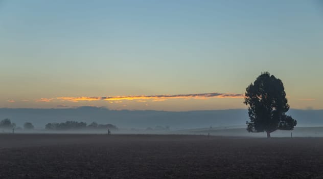 Misty rural landscape at sunrise in Andalusia, Spain.