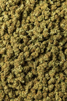 Marijuana buds and inflorescences ready to sell, top view. Legal production of medical cannabis with CBD for sell for healthcare and medicine uses