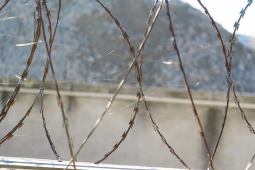 Barbered wire over blue sky and on building ground, rusty