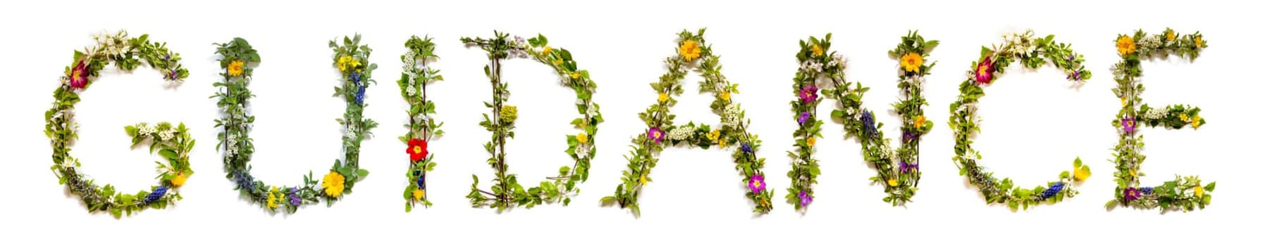 Blooming Flower Letters Building English Word Guidance. Colorful Spring and Summer Blossoms. White Isolated Background.