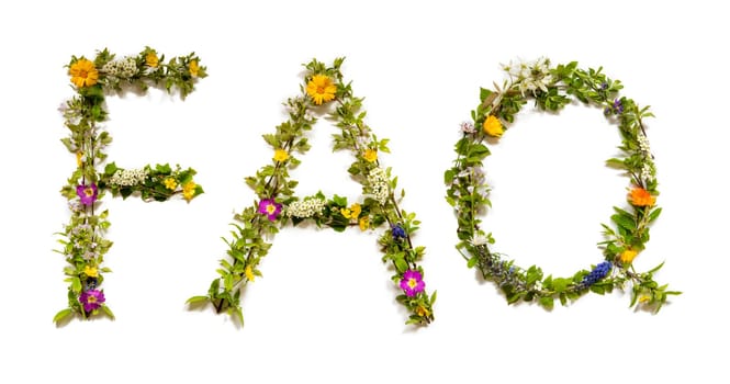 Blooming Flower Letters Building English Word FAQ. Colorful Spring and Summer Blossoms. White Isolated Background.