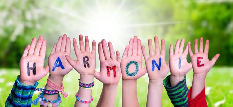 Children Hands Building Colorful German Word Harmonie Means Harmony. Sunny Green Grass Meadow As Background.
