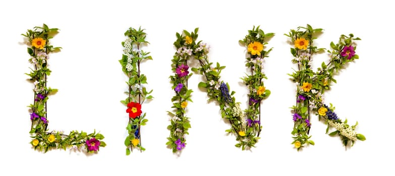 Blooming Flower Letters Building English Word Link. Colorful Spring and Summer Blossoms. White Isolated Background.