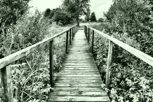 An old wooden suspension bridge over a swampy ditch with tall green grass. Road to nowhere. Abandoned place. Hiking in nature. Two long handrails for safety. Station Nyrki, Karelia. Cloudy evening