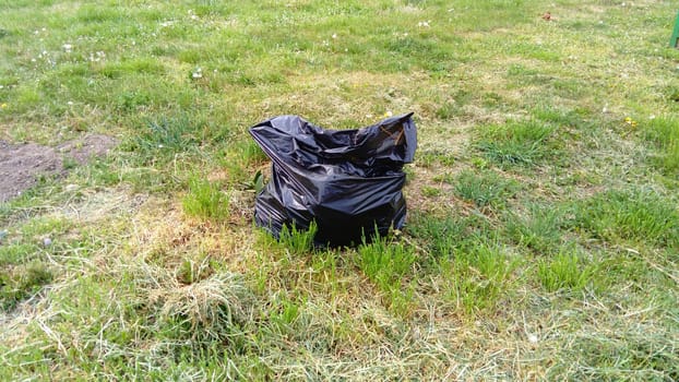 Black garbage bag on grass field. A black garbage bag on the grass for cleaning up the yard or for a cleanup.