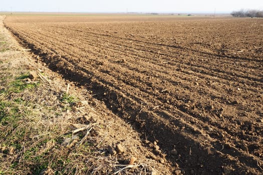 Arable field ready for spring agricultural work. Furrows from the passage of a tractor or combine. Cornmeal on the ground. Fertile soil for planting. Fertilizers are the key to a good harvest