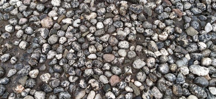 Paving stones made of round light stones similar to marble. Paved square in the old town of Sarajevo, Bosnia and Herzegovina. Beautiful wet shiny stones after rain. Close-up in natural daylight.