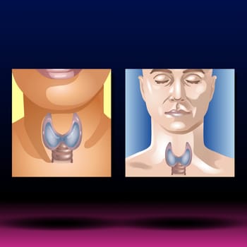 Illustration of thyroid gland and phrase Thyroid gland