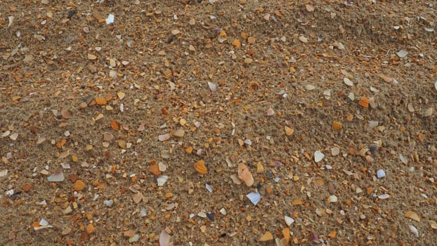 Sand with seashells background. Wet coarse quartz sand. Broken seashells. Beach after heavy rain. Silica. Crushed quartz sand, natural brown material after a storm. Dents from drops in the sand. Anapa