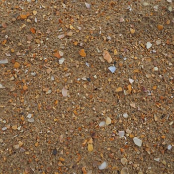 Sand with seashells background. Wet coarse quartz sand. Broken seashells. Beach after heavy rain. Silica. Crushed quartz sand, natural brown material after a storm. Dents from drops in the sand. Anapa.