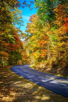 Blue Ridge Parkway winding through the woods in fall near Asheville, North Carolina