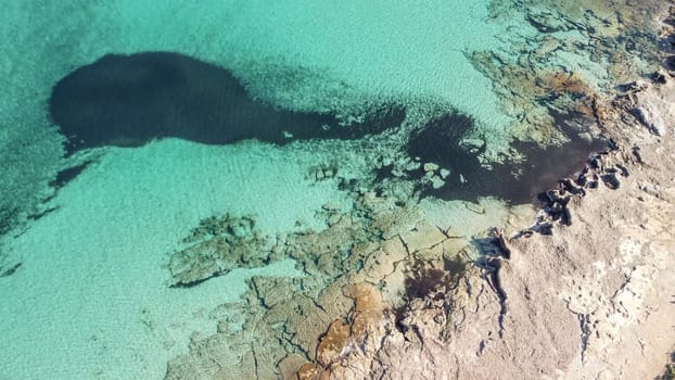 aerial view from drone of a natural paradise beach in the mediterranean, with crystal clear water and white sand. calamillor, Mallorca, Balearic Islands