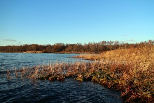 Lake Shorelakeside, yellow autumn landscape, golden hour, forest, blue water
