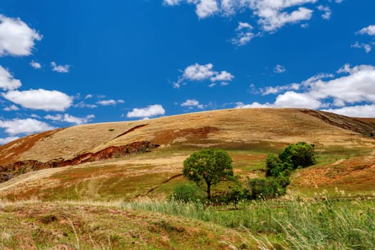 Devastated central Madagascar landscape, Mahajanga Province. Highland deforested countryside. Deforestation creates agricultural pastoral land but also result ecology problem with soil and water.