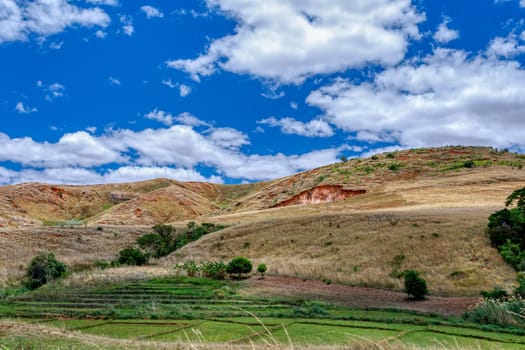 Devastated central Madagascar landscape, Mahajanga Province. Highland deforested countryside. Deforestation creates agricultural pastoral land but also result ecology problem with soil and water.