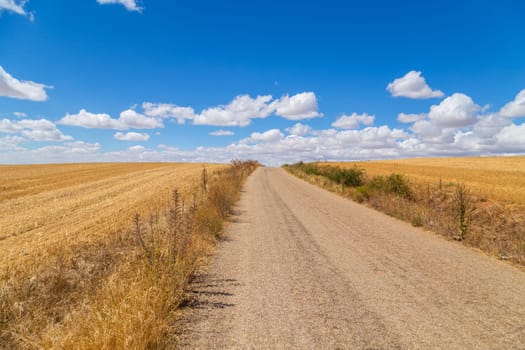 Rural road in the Spanish countryside among agricultural fields, after wheat harvest season. Navarra, Spain
