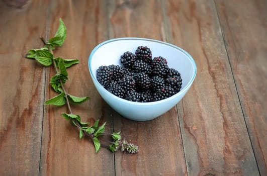 In a glass bowl are many ripe blackberries. Next to them a sprig of mint.