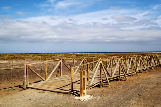Through a wooden walkway, beachgoers are guided through the nature worth protecting without damaging it.