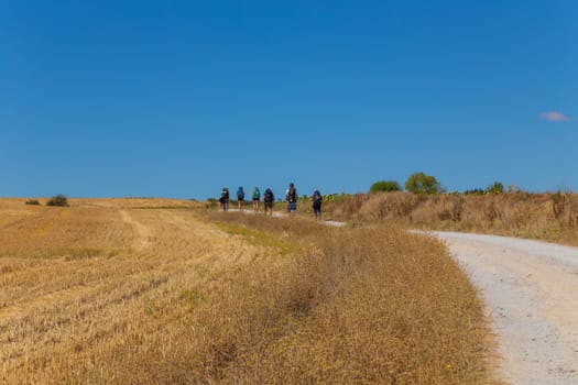 Navarre, Spain, 26 August, 2022: Pilgrims walk along the Camino De Santiago, the Way of St. James pilgrimage route, Navarra, Spain.
