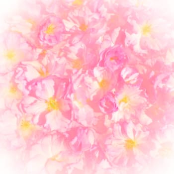 Pink flowers cherry sakura background. Flower wall illustration. Soft selective focus. Holiday postcard. Pink petals and yellow stamens. Beautiful background. White vignette. Blurry art
