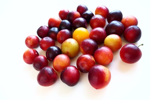 Cherry plum on a white background. A yellow-red cherry plum mix just removed from a tree. Delicious fresh plum berries. Appetizing large cherry plum for sale catalog. Food on a white background.