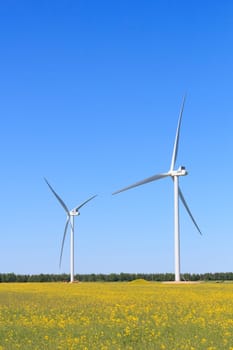 Wind turbine in a yellow flower field of rapeseed. High quality photo