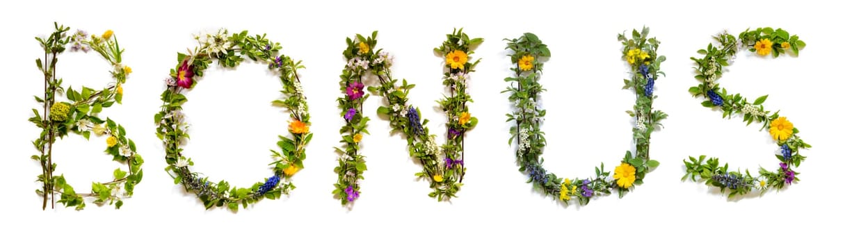 Blooming Flower Letters Building English Word Bonus. Colorful Spring and Summer Blossoms. White Isolated Background.