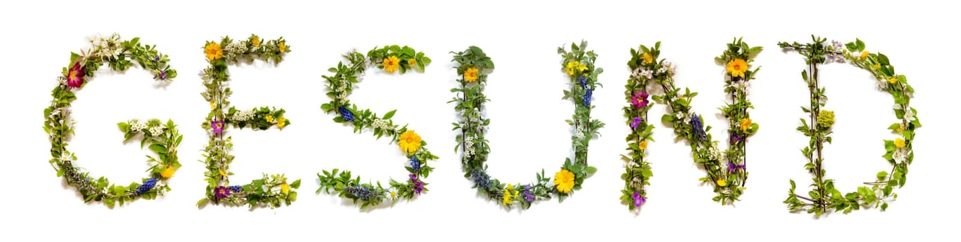 Blooming Flower Letters Building German Word Gesund Means Healthy. Summer And Spring Season Blossoms And Flower Lei.