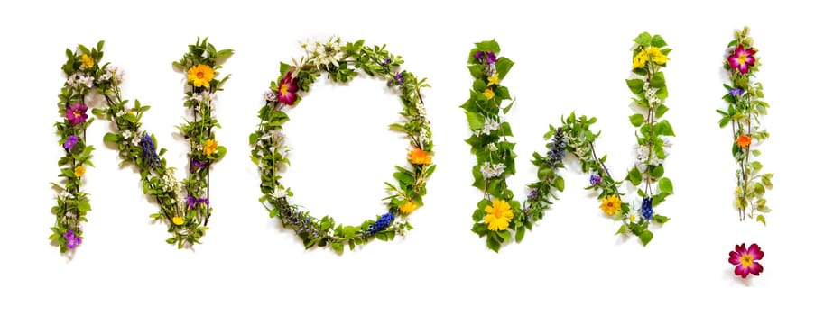 Blooming Flower Letters Building English Word Now. Colorful Spring and Summer Blossoms. White Isolated Background.