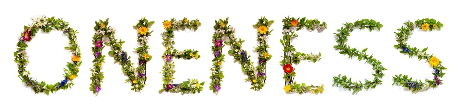 Blooming Flower Letters Building English Word Oneness. Colorful Spring and Summer Blossoms. White Isolated Background.