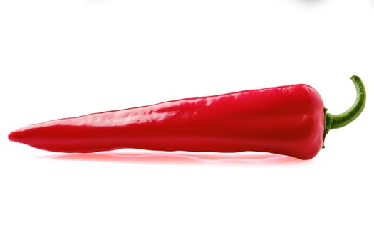 Whole red bell pepper capia isolated on white background