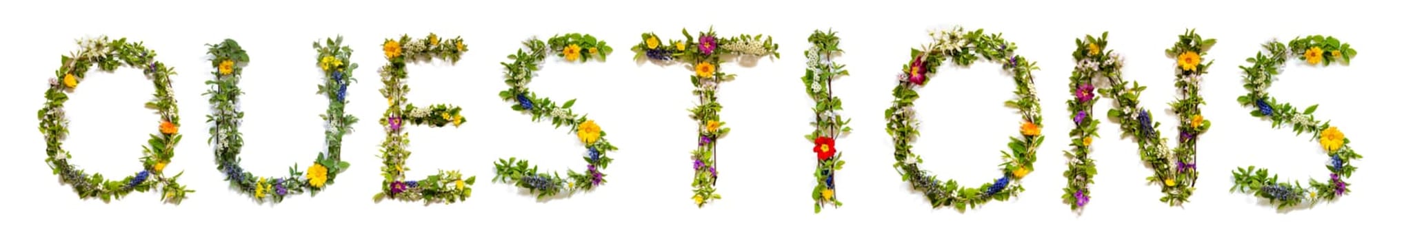 Blooming Flower Letters Building English Word Questions. Colorful Spring and Summer Blossoms. White Isolated Background.