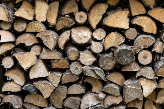 stack of firewood prepared for winter