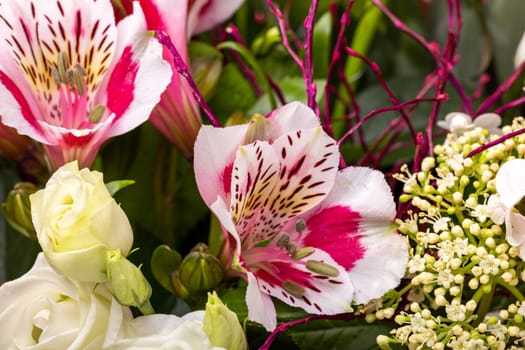 beautiful florist bouquet of roses and freesias