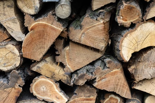 stack of firewood prepared for winter