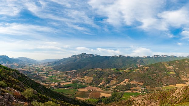 Landscape with vineyard cultivation for wine production, Sardinia, Italy. Traditional agriculture.