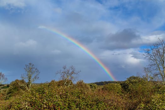 Oak trees and a rainbow in Extremadura, Spain, Europe. The Way of Saint James, Silver Way (Via de la Plata)