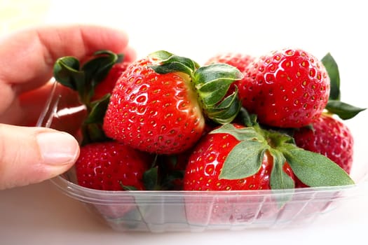 Ripe strawberries in a plastic package on a white background. Delicious fresh berries in a container for sale to customers. Keeping food fresh. Healthy food. Woman's hand holding strawberries